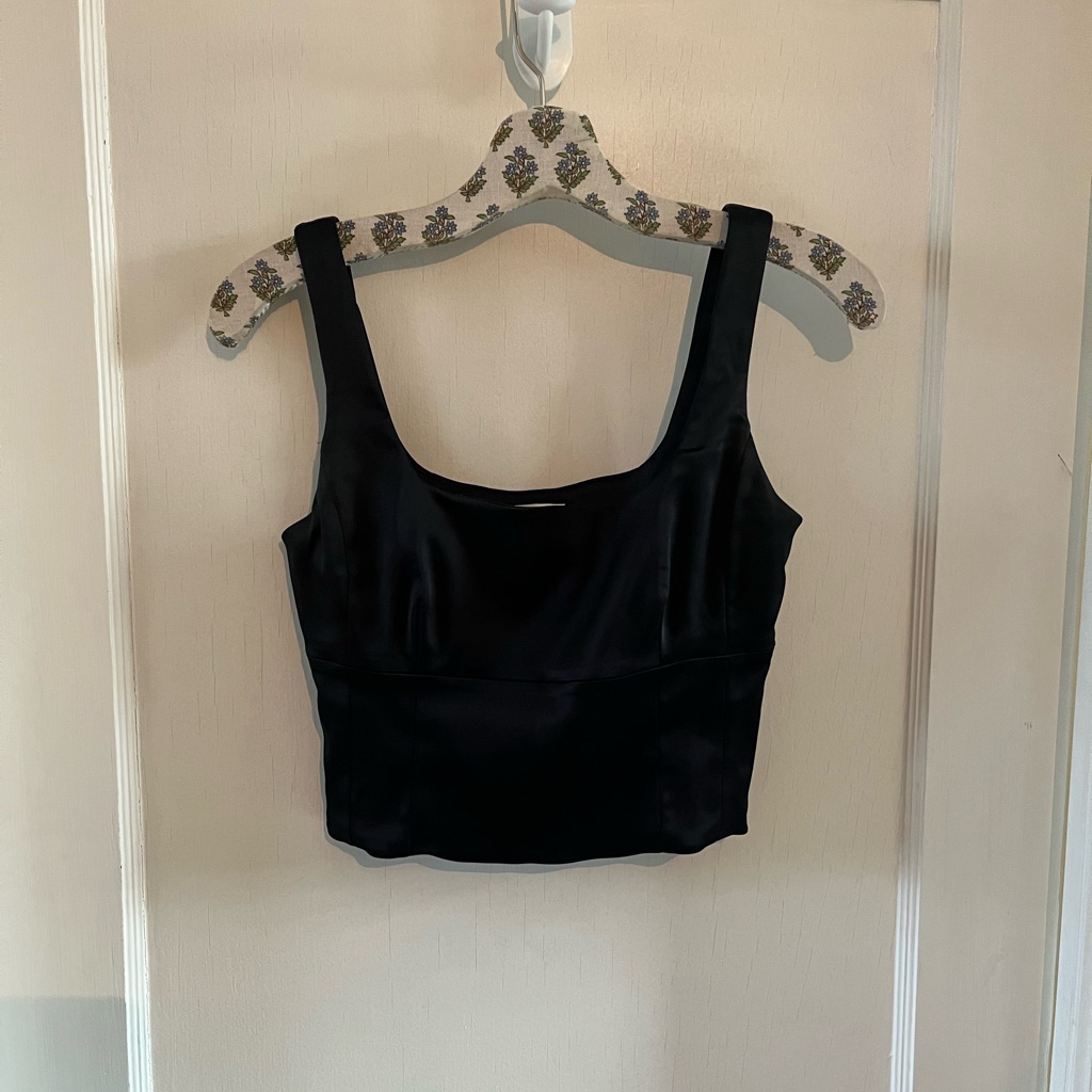 Aritzia Wilfred Shine Bustier